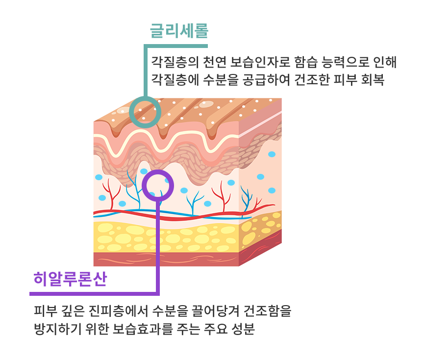 리바이브