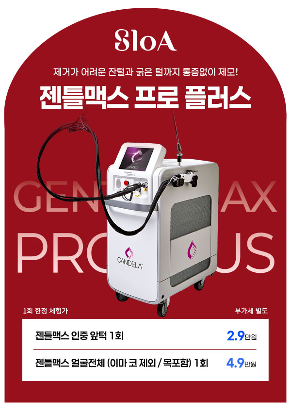 젠틀맥스런칭