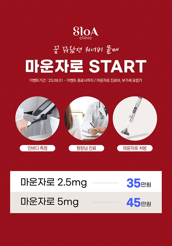 마운자로 입고